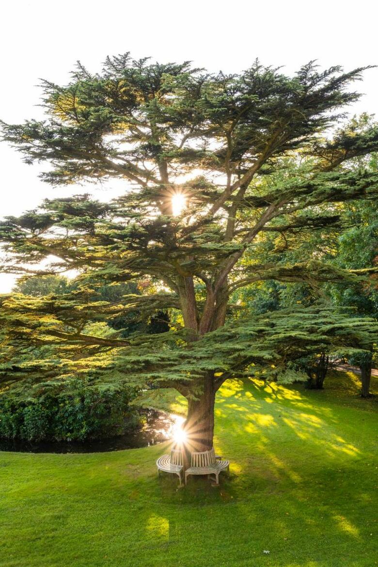 Farlam Hall Country House Hotel