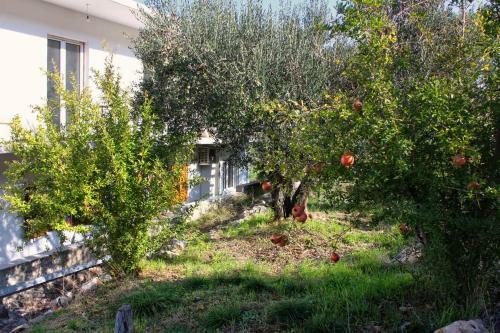 Hostal Apartment Arbanija 5228f