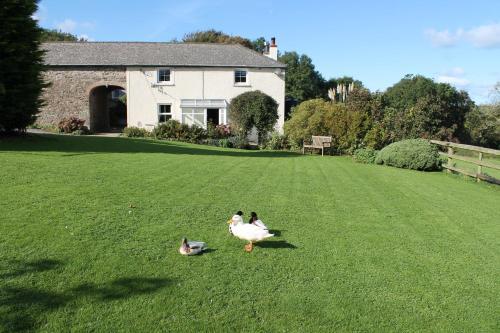 Bed & Breakfast Rectory Farm