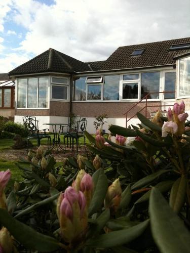 Bed & Breakfast Ashbank Lodge