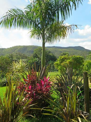 Bed & Breakfast Jangada Dos Tucanos