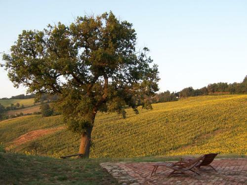 Hostal Podere Del Fagiano