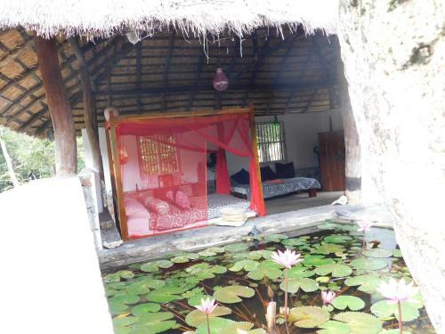 Hotel Galapita Eco Lodge