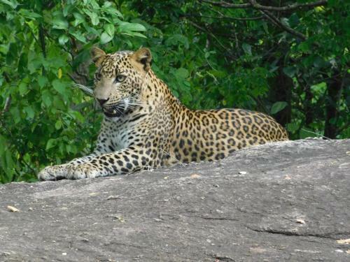 Hotel Galapita Eco Lodge