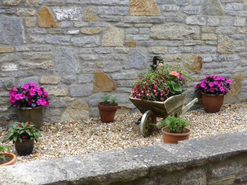 Bed & Breakfast Liongate House