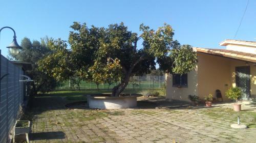 Agroturismo Casale Il Melograno