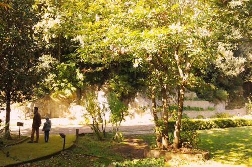 Apartamento Il Borgo Alberato