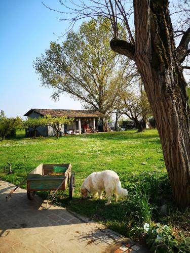Agroturismo Agriturismo Elianto