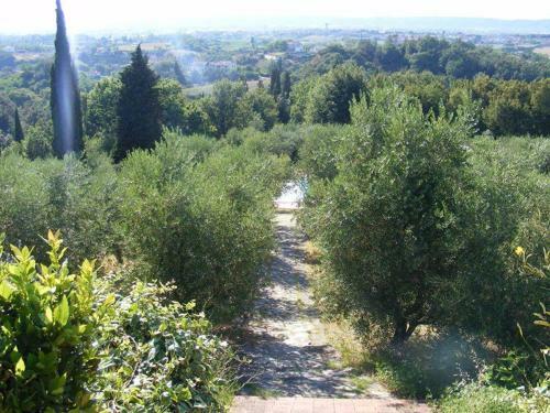 Agroturismo Tenuta Di Montalto