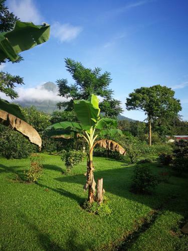 T�o Felix Eco Lodge