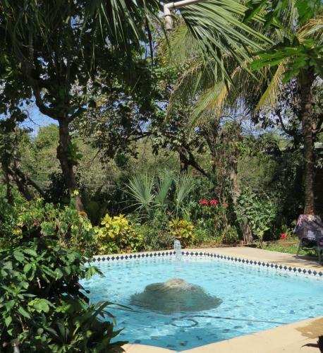 El Mono Loco Hotel