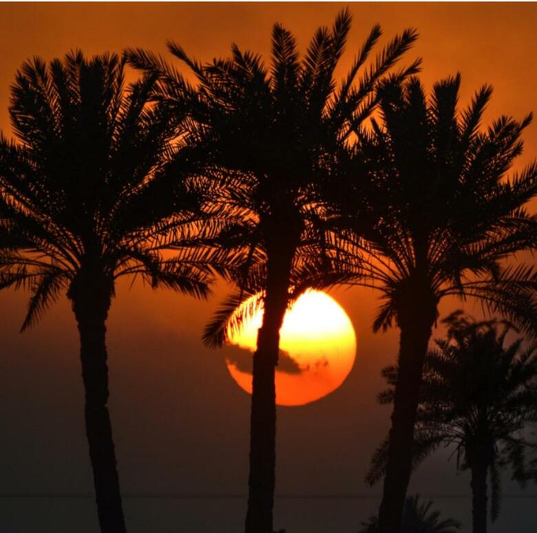 Riad Ambelar