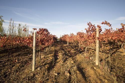 Agroturismo Beaumont Family Wines