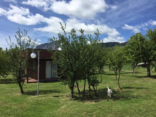 Apartamento Caba�as Coyhaique Alto Km 7