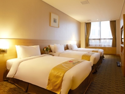 Hotel Skypark Central Myeongdong