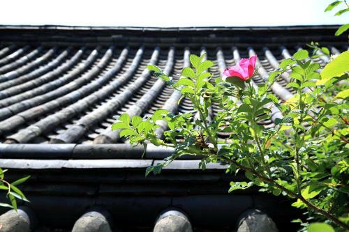Hostal Chiwoonjung