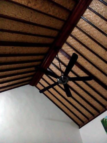 Hostal Coconut Village Guest House