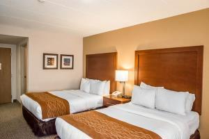 Hotel Comfort Inn Northeast