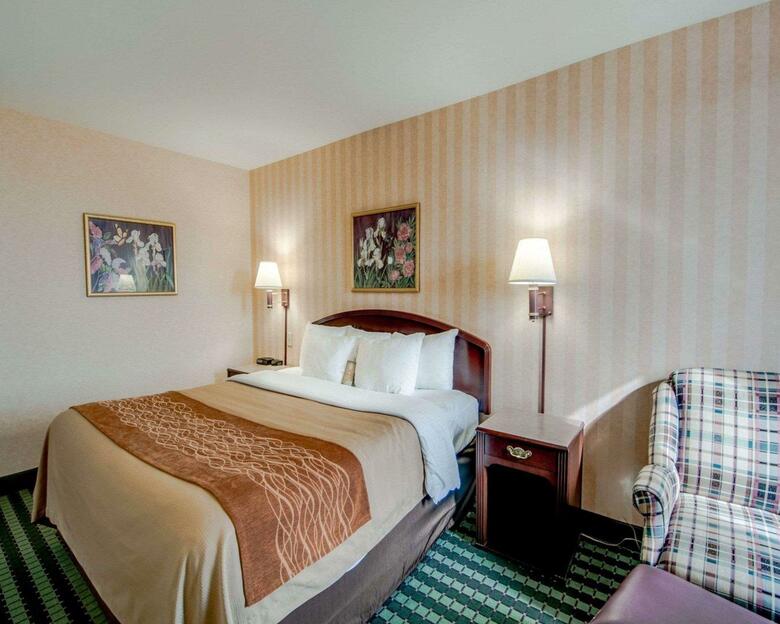 Hotel Comfort Inn Airport