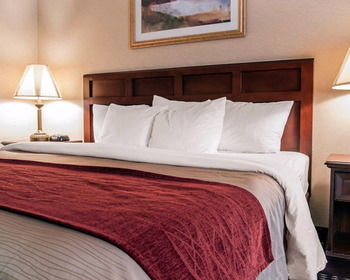 Hotel Comfort Inn (livonia)