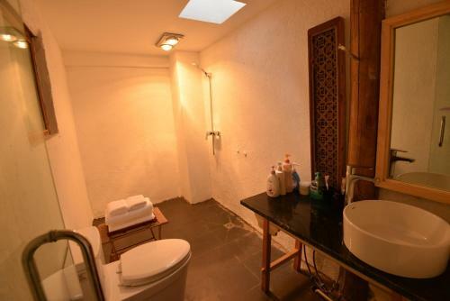 Hostal Qingyun Yard Stories From Afar Inn