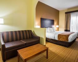 Hotel Comfort Suites