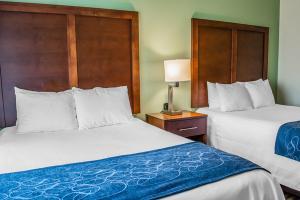 Hotel Comfort Suites (leesburg)