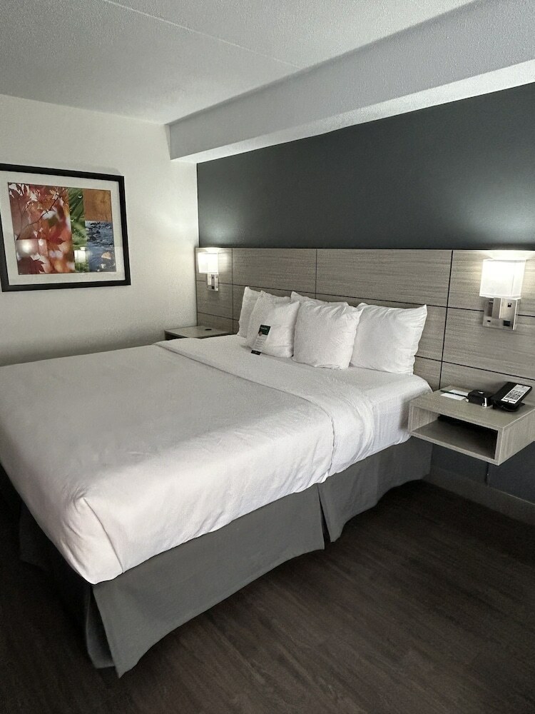 Hotel Comfort Inn Leamington
