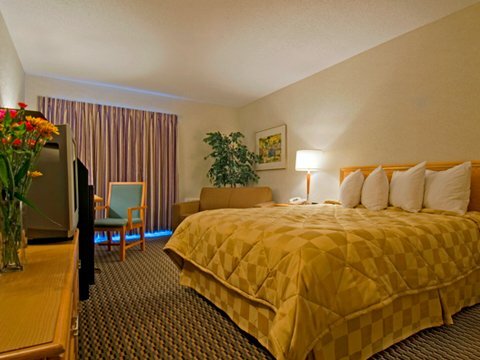 Hotel Comfort Inn Moncton East