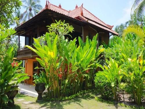 Kura Kura Villas
