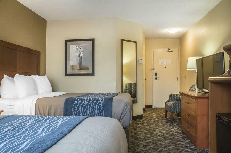 Hotel Comfort Inn & Suites Ambassador Bridge
