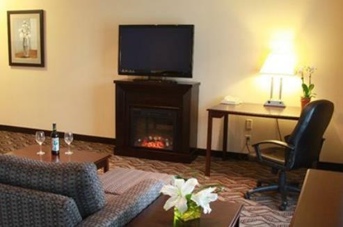 Hotel Comfort Inn & Suites Ambassador Bridge