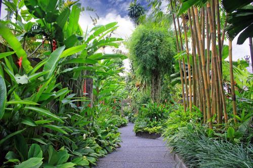 Hotel Kajane Mua At Ubud Bali