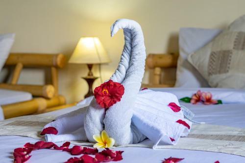 Hostal Kacu Guest House