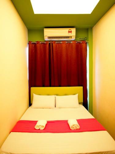 Albergue Milky Coat & Sunny Side