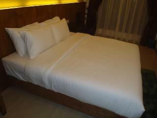 Swiss Hotel Heritage Melaka - Boutique
