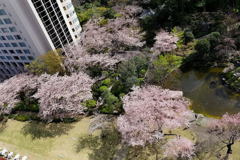 Grand Prince Hotel Takanawa
