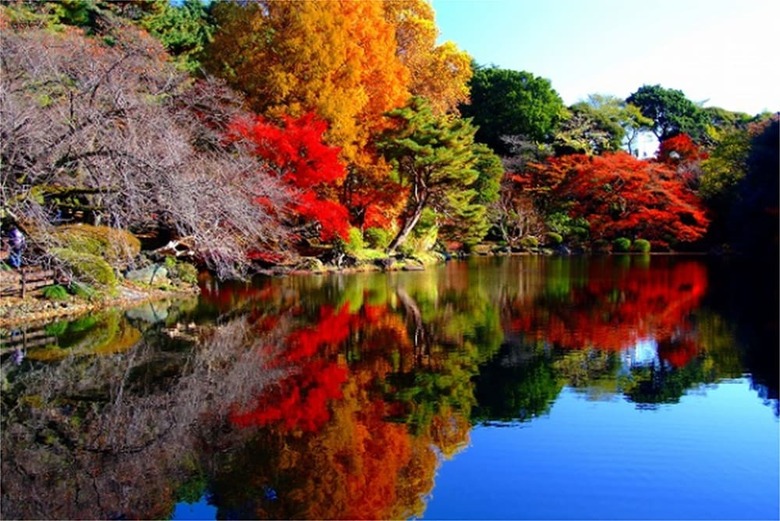 Apa Hotel Okachimachi Eki-kita S