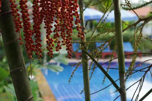 Hotel Bangtao Varee Beach