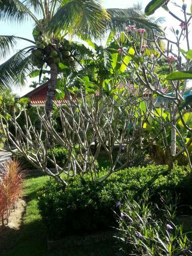 Hotel Bangtao Varee Beach