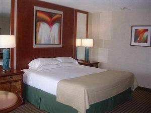Hotel Holiday Inn Niagara Falls-by The Falls