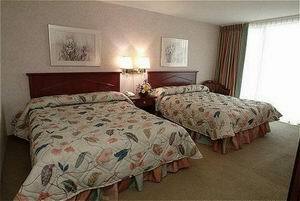 Hotel Holiday Inn Niagara Falls-by The Falls
