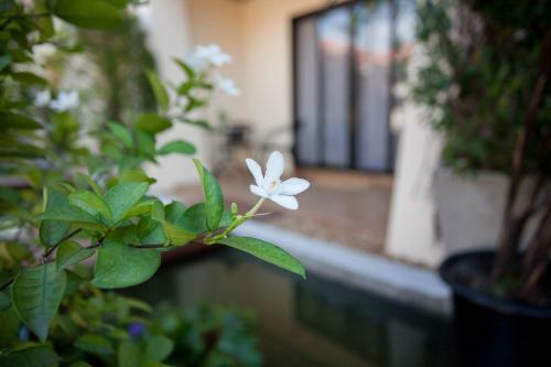 Hotel Lotusland Resort