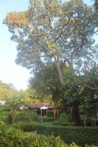 Hotel Lanta Happy Hill