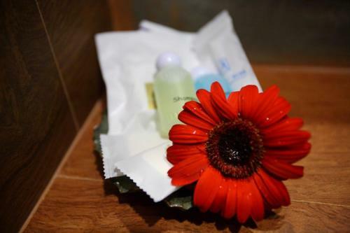 Hotel Chiang Mai Boutique House