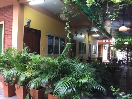 Hostal Baan Bussara