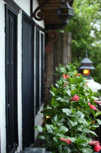 Hostal Nai Boutique House