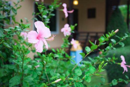 Hotel Siray Green Resort
