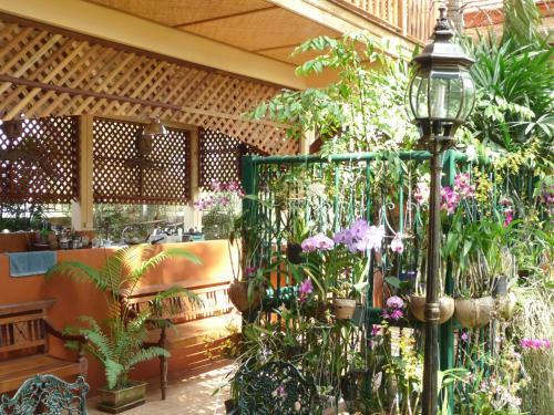 Hotel Golden Teak Home Resort