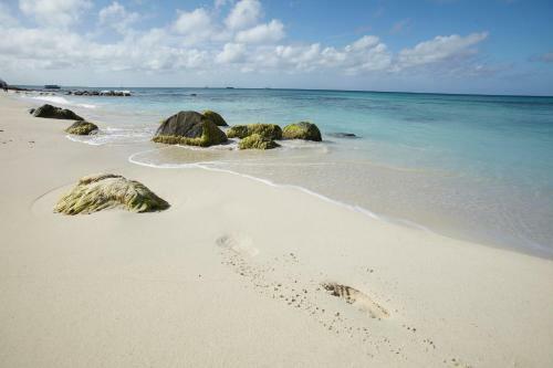 Villa Bougainvillea Aruba Rumba Suite